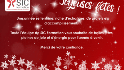 Joyeuses Fêtes !!